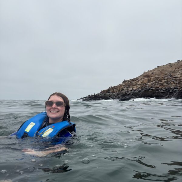 Swimming with Sealions