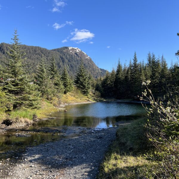 Water, Mountains that are green