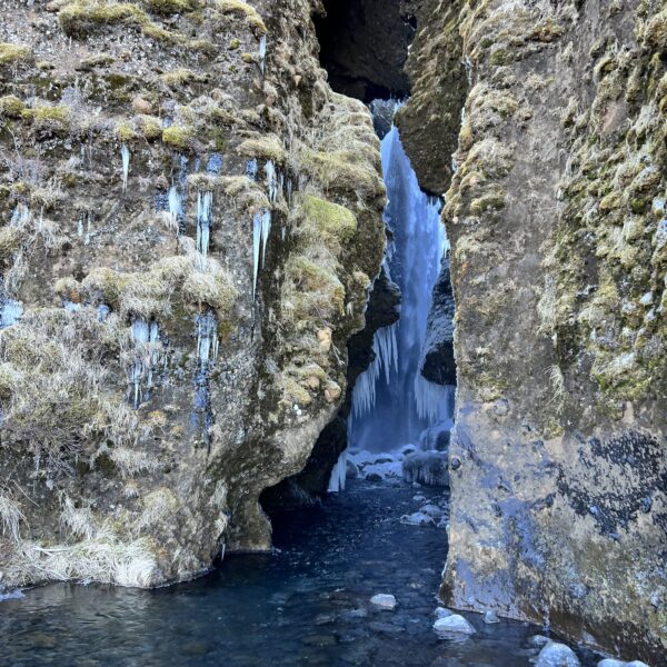 Seljalandasfoss waterfall stop on south coast tour
